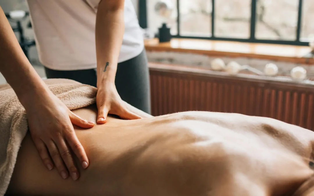 The Growing Demand for Qualified Massage Therapists in Perth and Across Australia